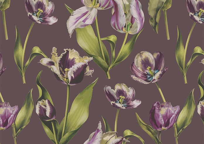 Carries, Scuffs - Roller Blind - Image 6